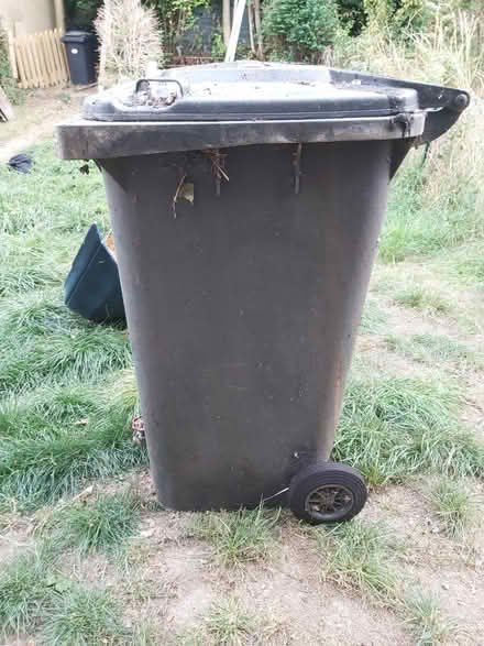 Photo of free Big Water Butt Originally a Bin (Dallow LU1) #2