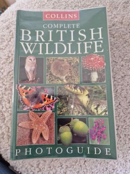 Photo of free Books, Vases, House bits, Boxes (OX14 1TJ) #4