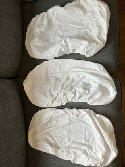 Photo of free Baby Moses basket bundle (Abingdon-on-Thames OX14) #2