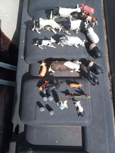 Photo of free Toy farm animals (Askham CA10) #1