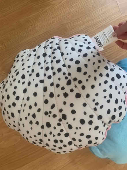 Photo of free Eleanor bowmer cushions (Nottingham, NG7) #3