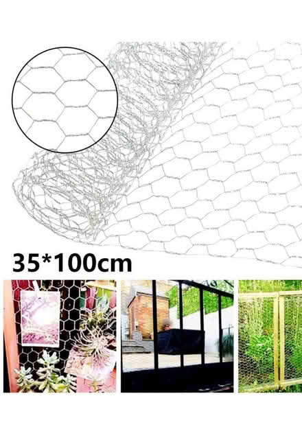 Photo of Chicken Wire (657B Pinerow Cres waterloo) #1