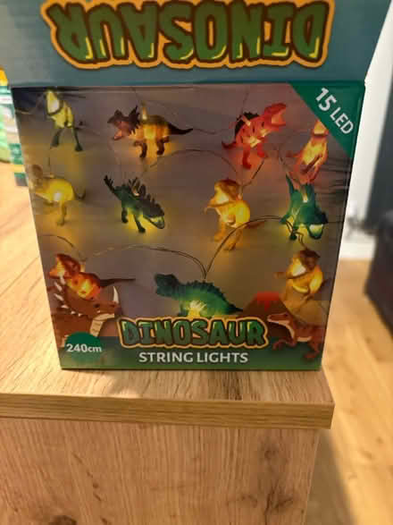Photo of free Dinosaur string light (Botley, Oxford, OX2) #1