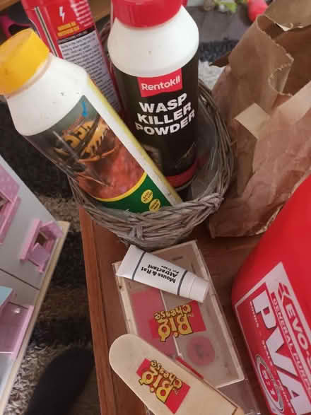 Photo of free Wasp powders,mousetraps and half full of pva (Bedmond WD5) #2