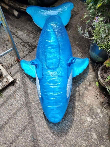 Photo of free Inflatable dolphin (Allithwaite LA11) #2
