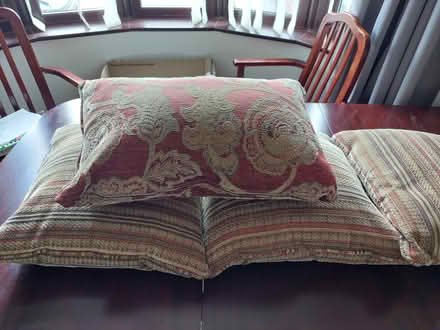 Photo of free Feather filled sofa pillows (Willenhall WV12) #3
