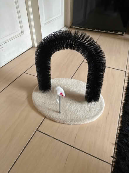Photo of free Cat toy (Ilford) #1