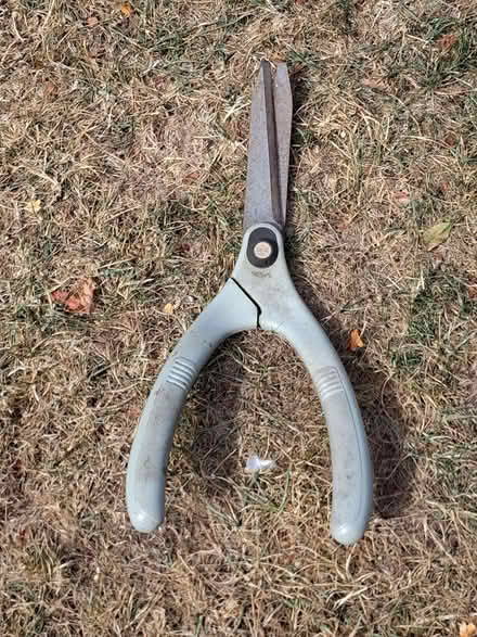 Photo of free Wilkinson Sword shears (Woodley RG5) #1