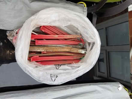 Photo of free Used 4 people tent (TW74, Isleworth) #3