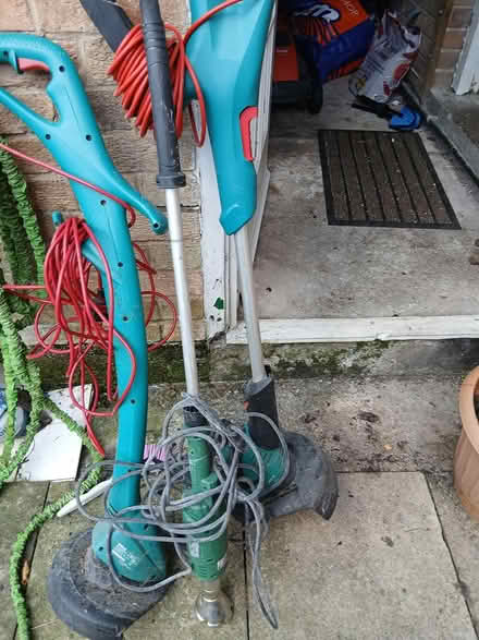 Photo of free Strimmers (Newby YO12) #1