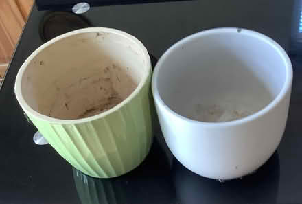 Photo of free Two small indoor plant pots (Popley RG24) #1