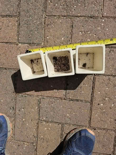 Photo of free Herb container (Malvern WR14) #1