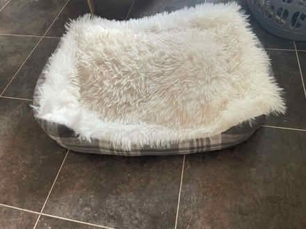 Photo of free Cat Bed (Oakwood) #1