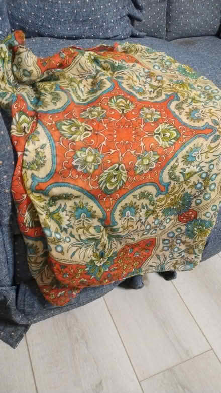 Photo of free large butterfly wrap (Allen) #1