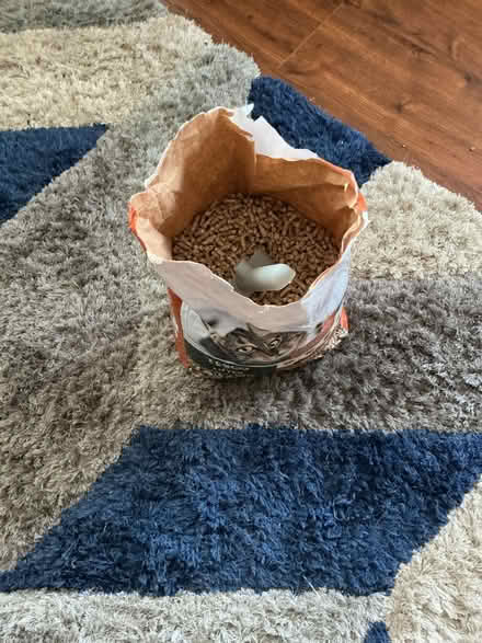Photo of free Cat litter (Bedfont) #1
