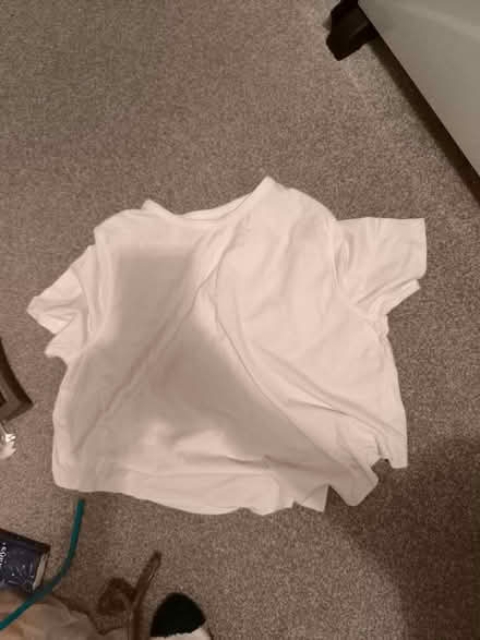 Photo of free White shirt (Southend SS2) #1