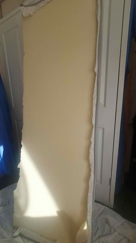 Photo of free Memory foam mattress sponge (Chichester Lavant PO18) #1