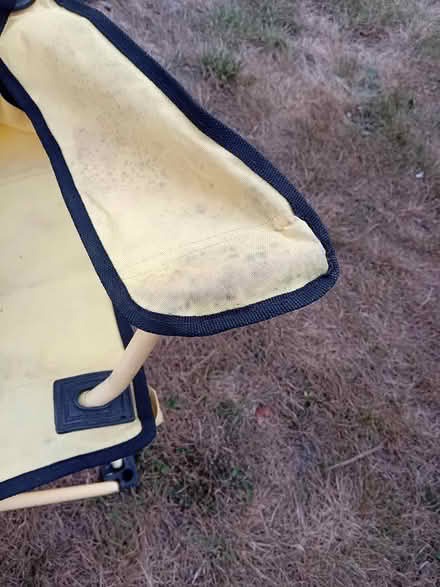 Photo of free Childrens camping chair (CO6, West Bergholt) #2