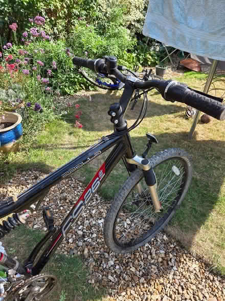 Photo of free Bike (Potton SG19) #4