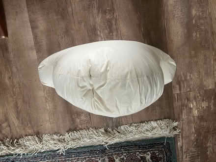 Photo of free Cushion pad - cloud-shaped (Maryland/Stratford E15) #1