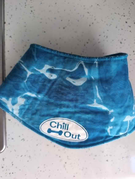 Photo of free Cooling dog bandana (Boxted CO4) #1