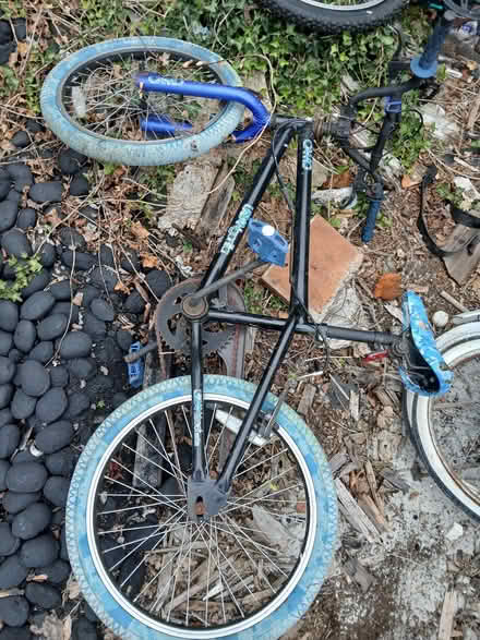 Photo of free Bicycles (Claypole NG23) #1