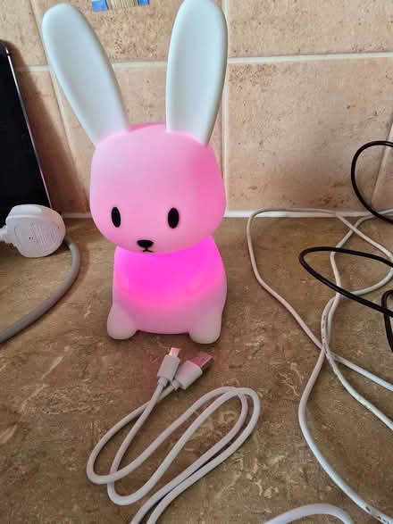 Photo of free Bunny night light (Bowbridge GL5) #2