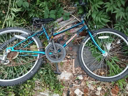Photo of free Bicycles (Claypole NG23) #3