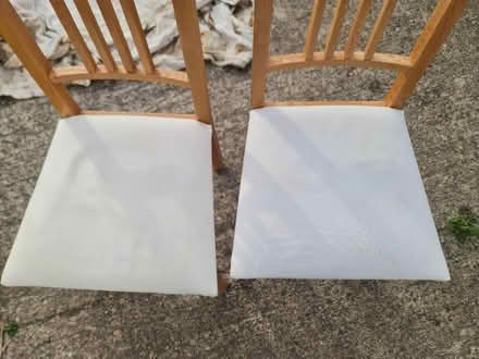 Photo of free Chairs x6 (West Worthing, BN11) #4