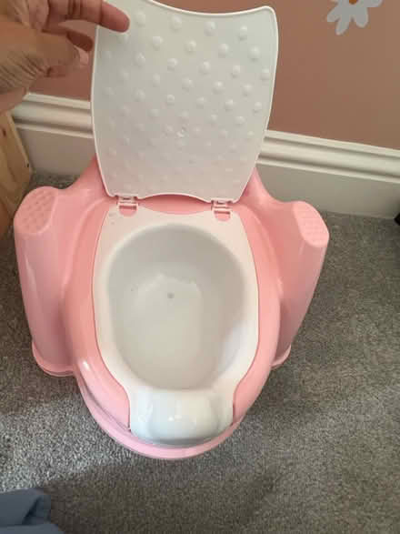 Photo of free Unused Princess potty (W12) #2