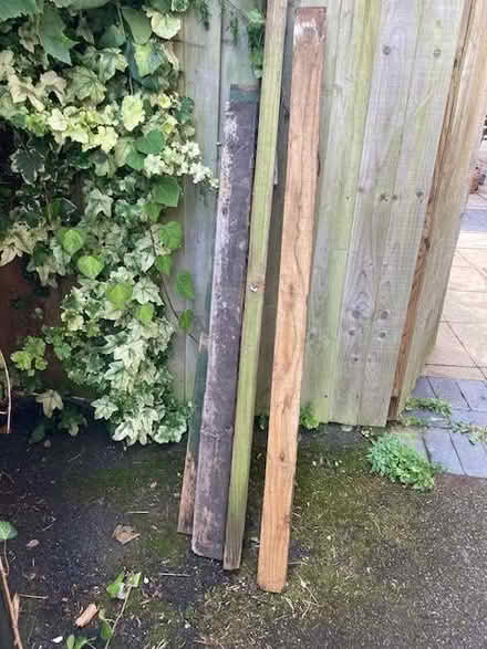 Photo of free Fence posts (Malvern Link WR14) #1