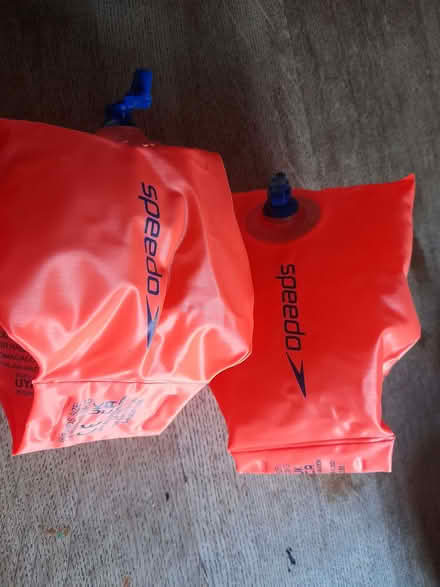 Photo of free Armbands for swimming, age 2-6 (Hillsborough S6) #1