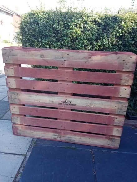 Photo of free Pallet (Haig Avenue PR8) #1