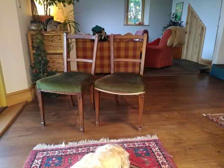 Photo of free 4 old chairs (Little Birch, HR2) #1