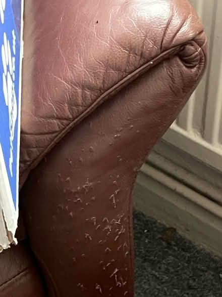 Photo of free Three seater sofa and armchair (E10) #3