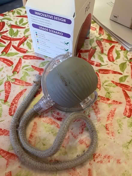 Photo of free Cat toy SW9 Oval (SW9 Oval) #1