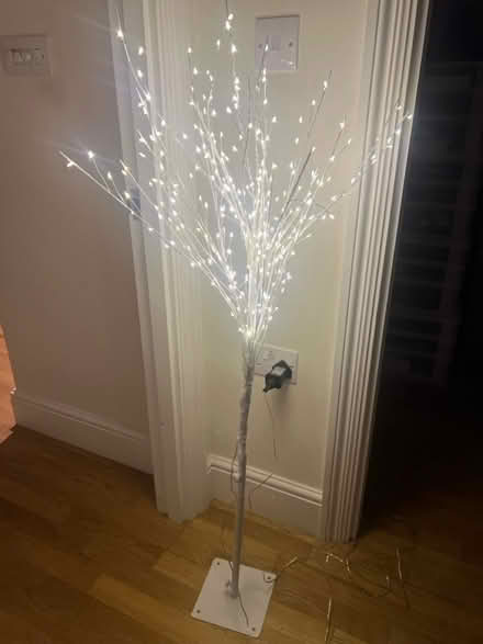 Photo of free Decorative tree (Hammersmith) #1