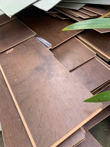 Photo of free Laminate flooring (Cowplain PO8) #1