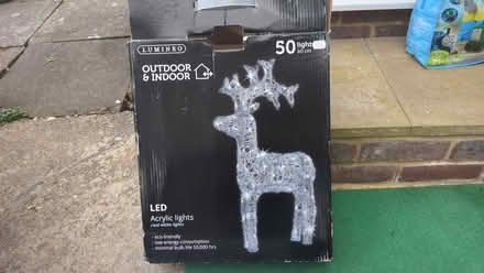 Photo of free Reindeer Garden Decoration (Epsom KT18) #1