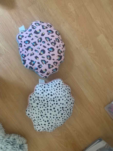 Photo of free Eleanor bowmer cushions (Nottingham, NG7) #1