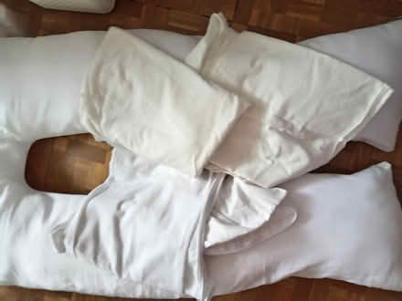 Photo of free U shaper pillow (Lightwater GU18) #4
