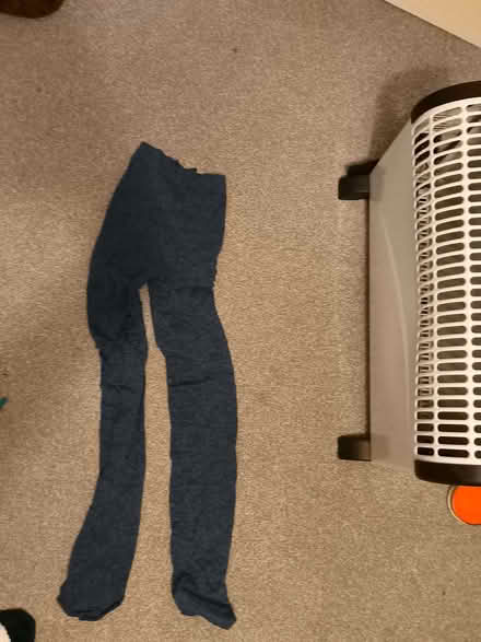 Photo of free Blue tights (Southend SS2) #1