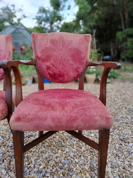 Photo of free Pair of Chairs (CT10) #1