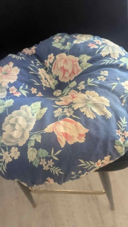 Photo of free Round cushion (RG24 Old Basing) #1