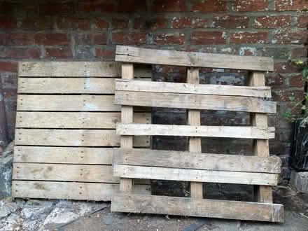 Photo of free 2 x small pallets (Levenshulme M19) #1