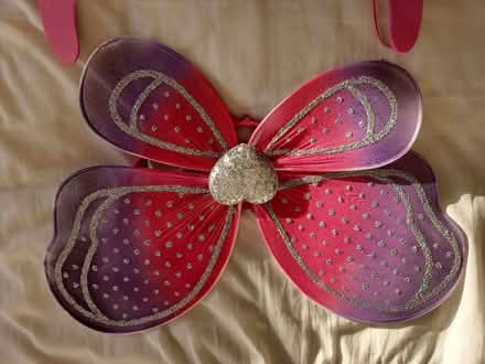 Photo of free Fairy wings (Sale M33) #1