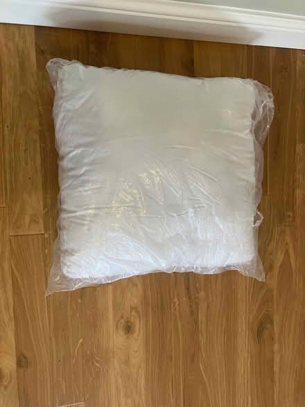 Photo of free Cushion pad (Abingdon-on-Thames OX14) #1