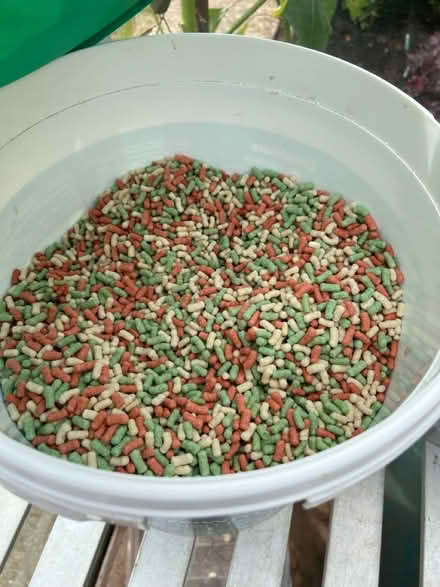 Photo of free Fish food and items (Maulden MK45) #1