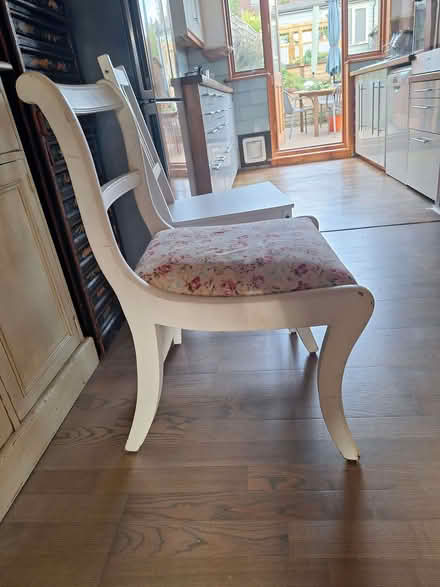 Photo of free Two dining chairs (Hollingdean BN1) #4