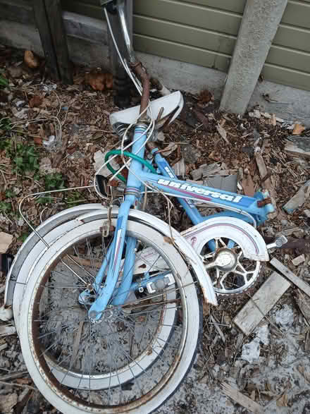 Photo of free Bicycles (Claypole NG23) #2
